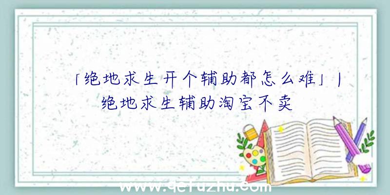 「绝地求生开个辅助都怎么难」|绝地求生辅助淘宝不卖